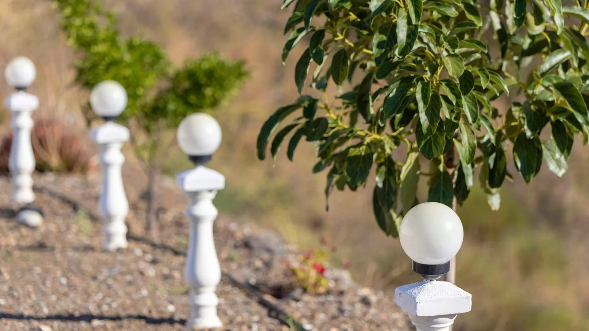 Modernes Wohnen Im Laendlichen Andalusien Villa Torrox Holiday home